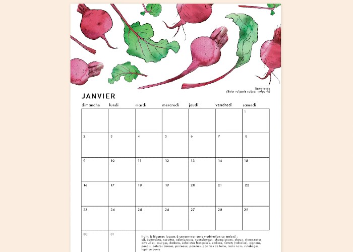 e beau calendrier de Laucolo est disponible dans sa boutique Etsy. / Crédit : Laucolo